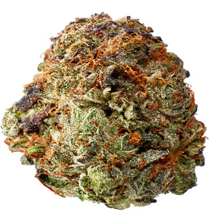 pink kush